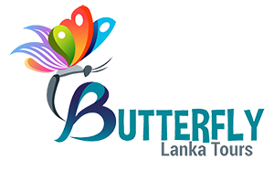 Butterfly Lanka Tours