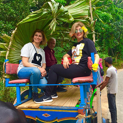 A bullock cart tour