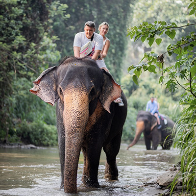 Elephat And Horse Ride sri lanka